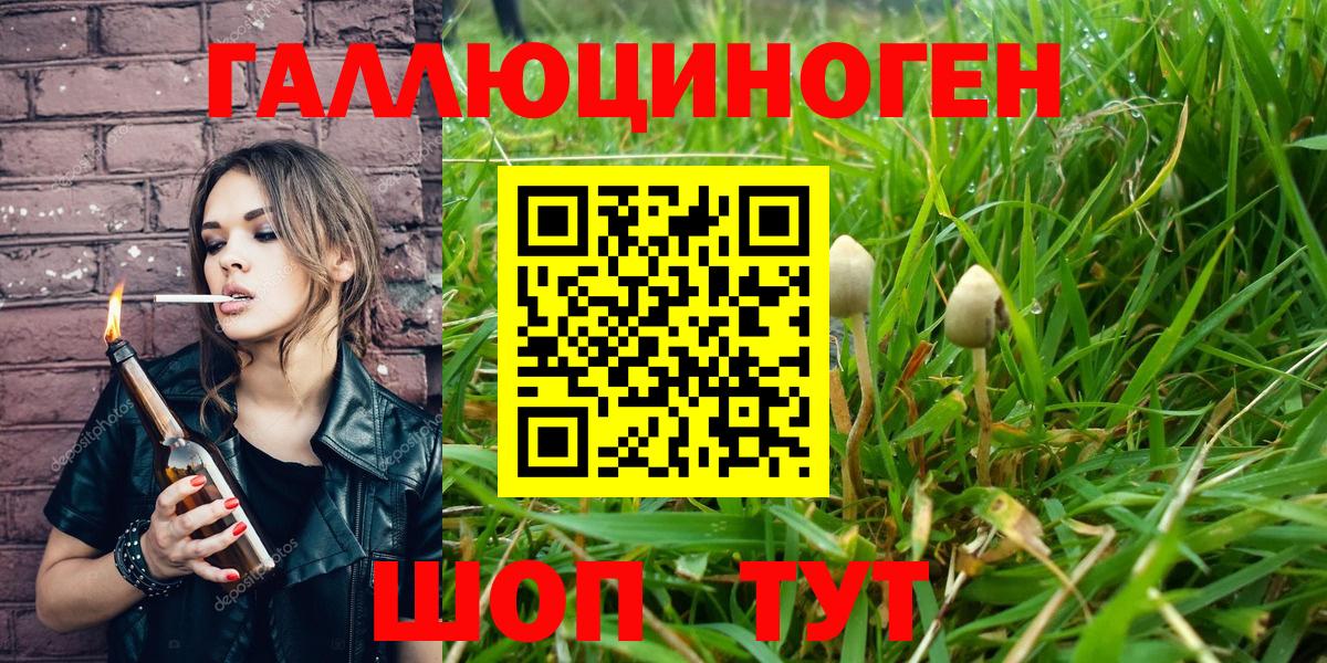 Псилоцибиновые грибы GOLDEN TEACHER Барабинск